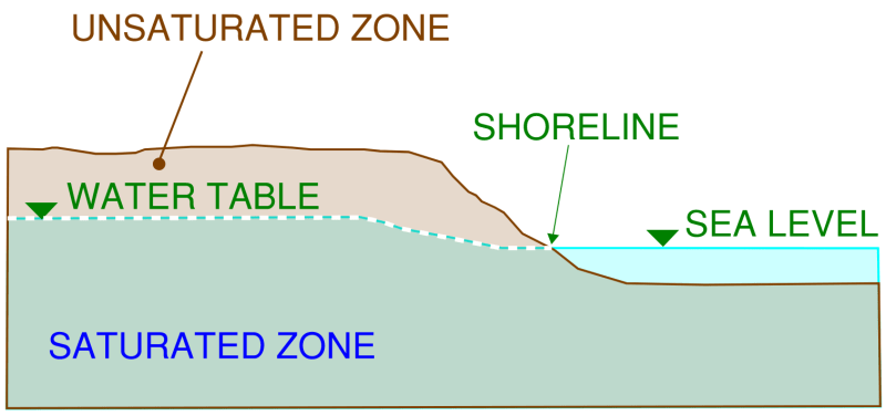 Schematic cross-section view of a water table close to a shoreline. This indicates the region below the water table (saturated zone) and above the water table (unsaturated zone).