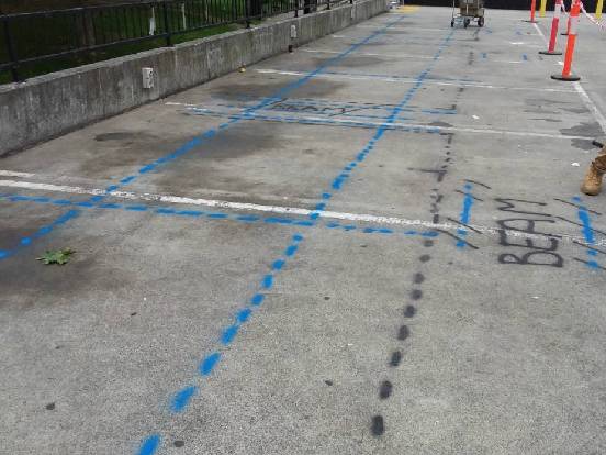 Beam extents and post tensioning cables marked on the surface of a concrete slab indicating their locations prior to drilling or cutting (post tensioning in blue)