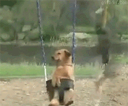 Resonance in a vibrating system can be accurately compared with someone pushing a child (or in this case a dog) on a swing.