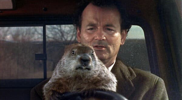 Working from home as a Structural Engineer during the pandemic lockdowns can have you feeling like Bill Murray from the movie Groundhog Day