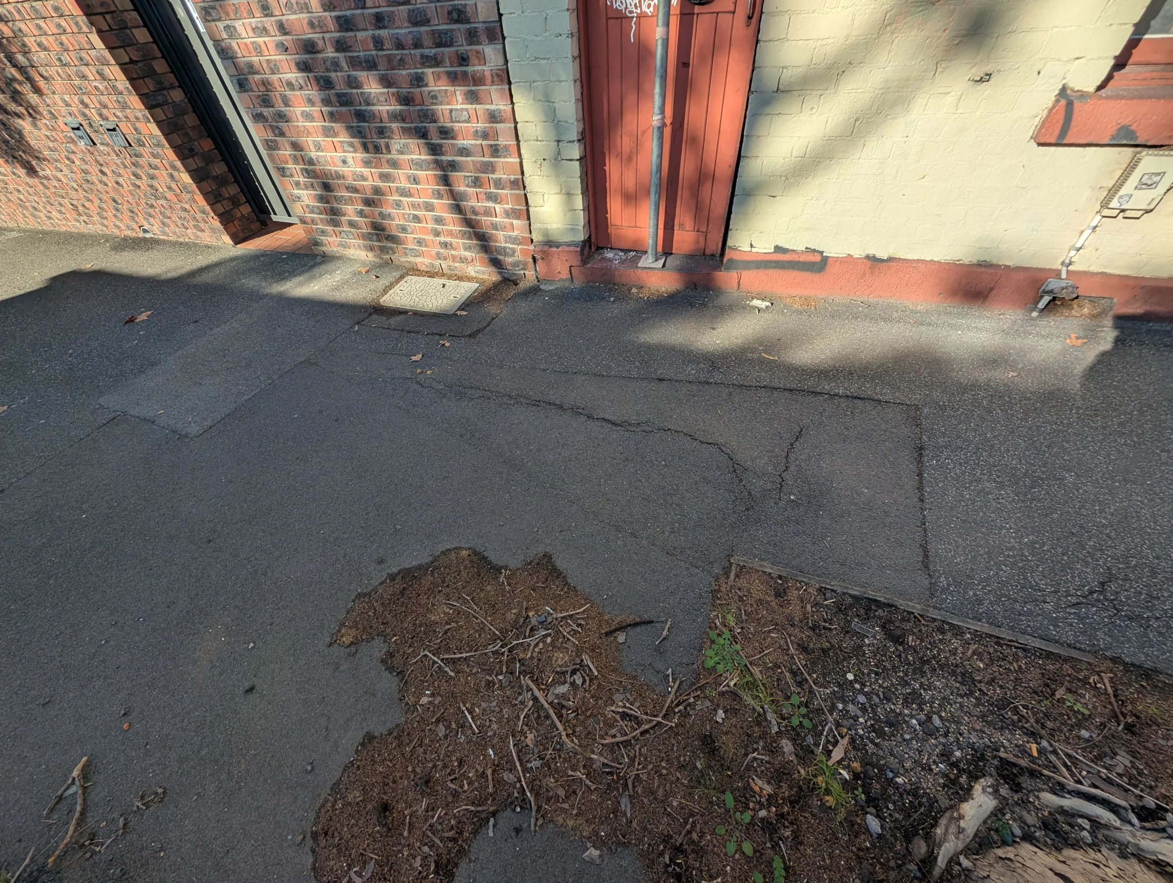 Trees, pavement movement and nearby settlement initially suggested a footing-related issue.