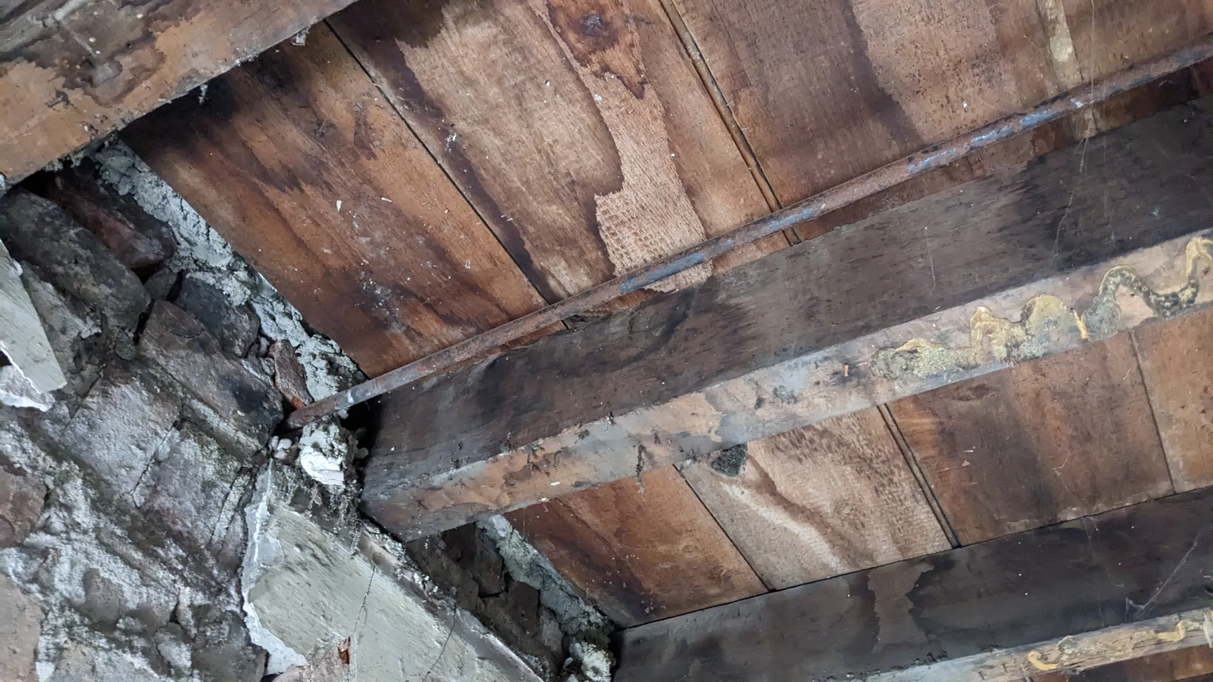 The investigation started with a strip out of the finishes and non-structural elements to reveal the structure beneath