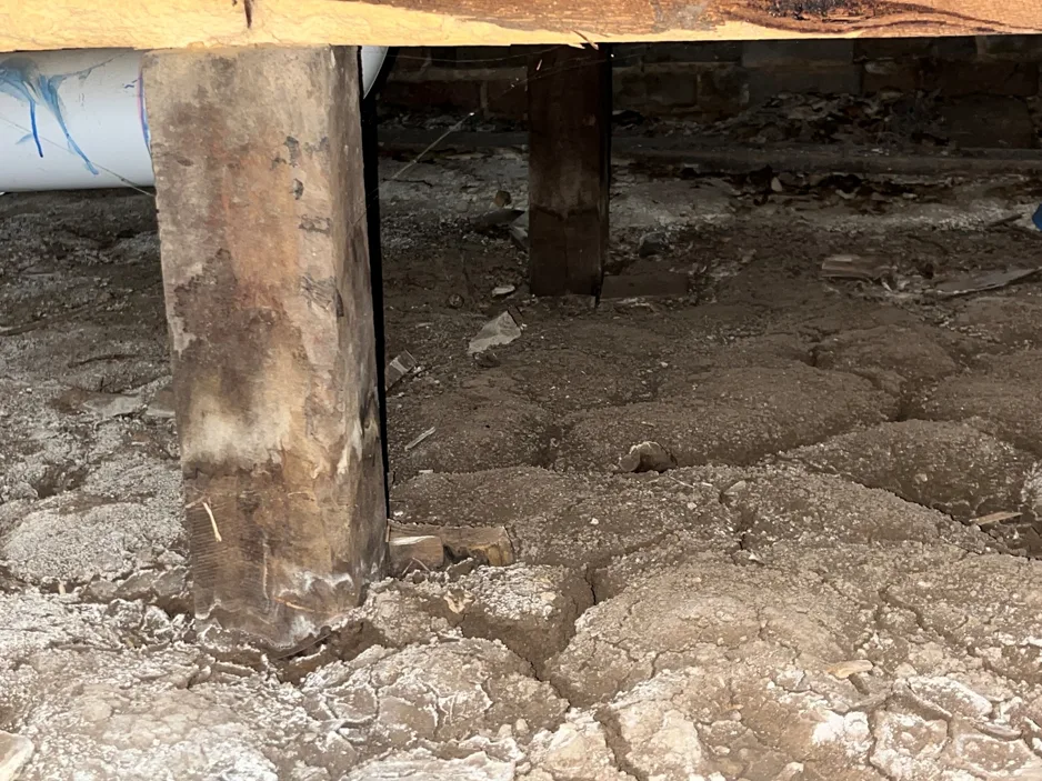 Evidence of soil saturation and expansion beneath the dwelling.