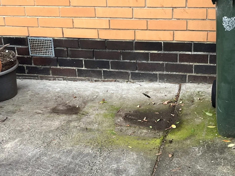 Perimeter paving and drainage conditions around the dwelling.