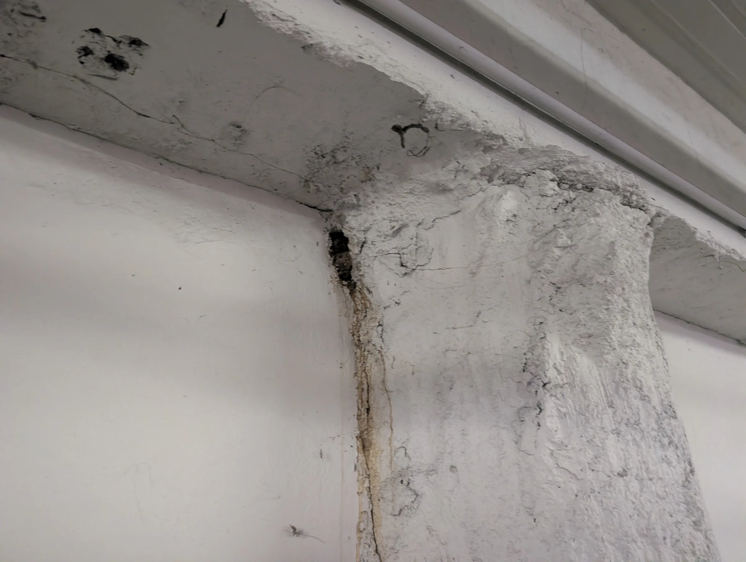 Understanding defect mechanisms allows maintenance efforts to focus on the issues that matter most.