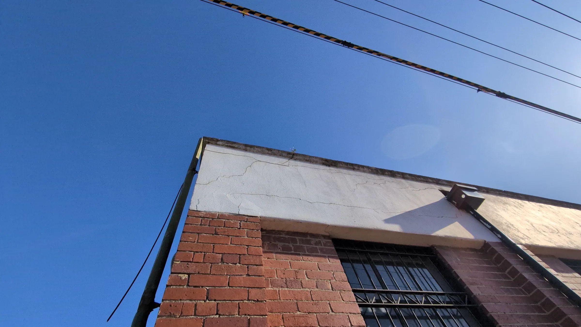 Why a Heritage Roof Doesn't Always Need Replacement After Termite Damage